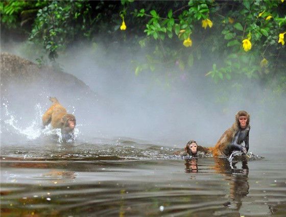 厦门三亚旅游攻略实用版